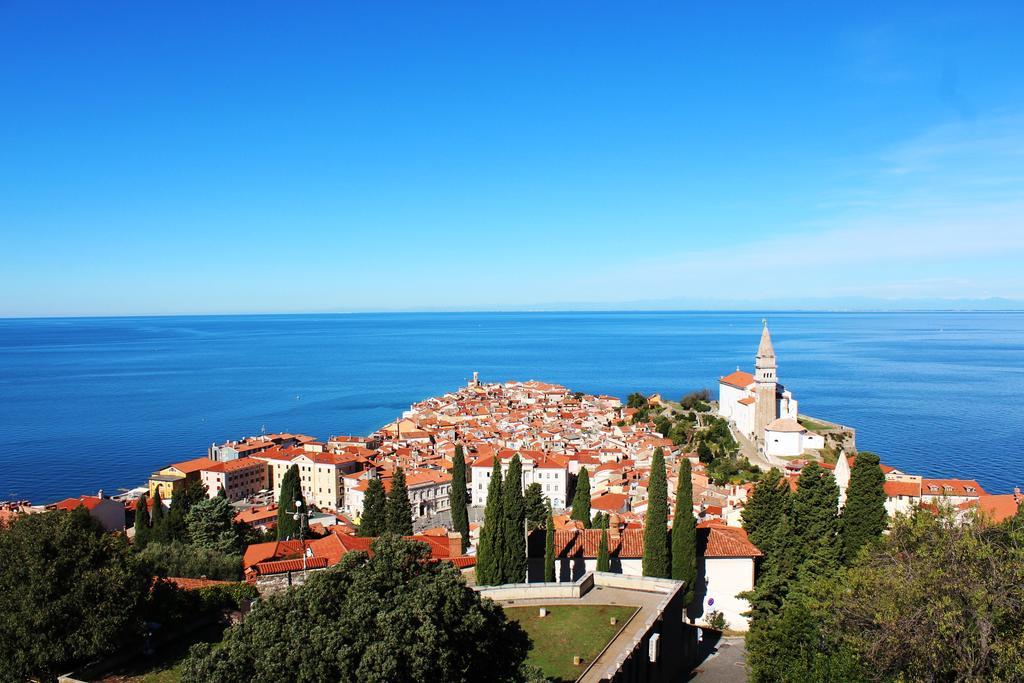 Terra Pirano