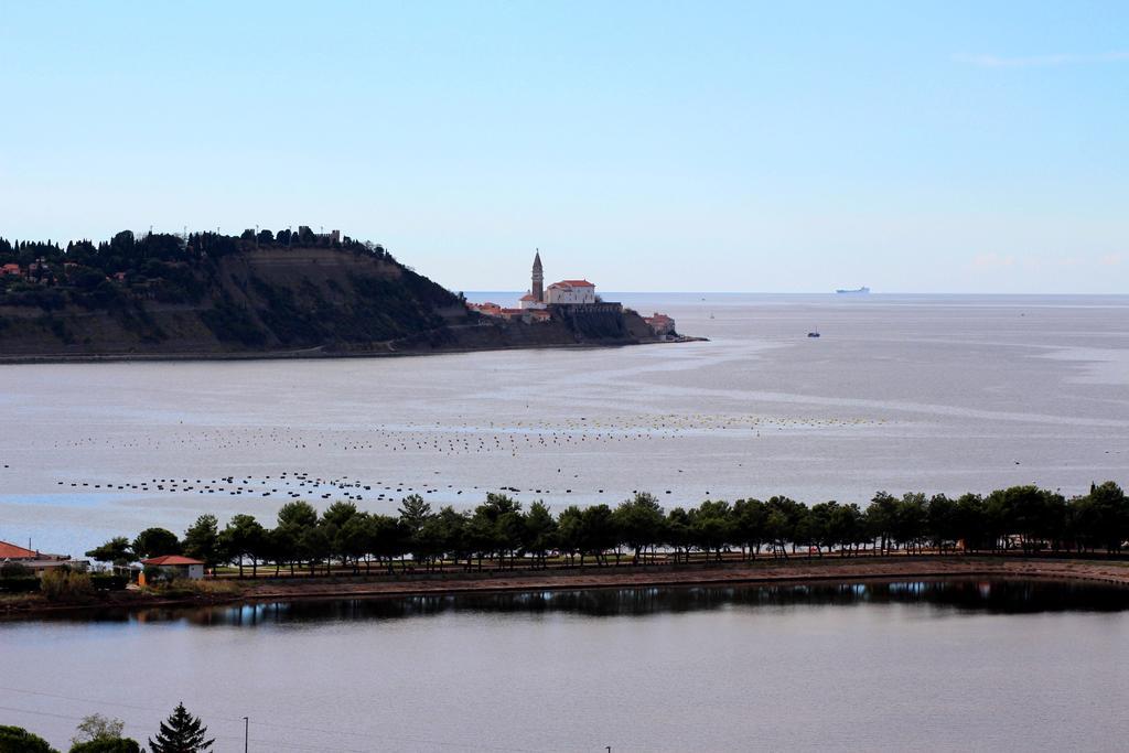 Appartamento Terra Pirano