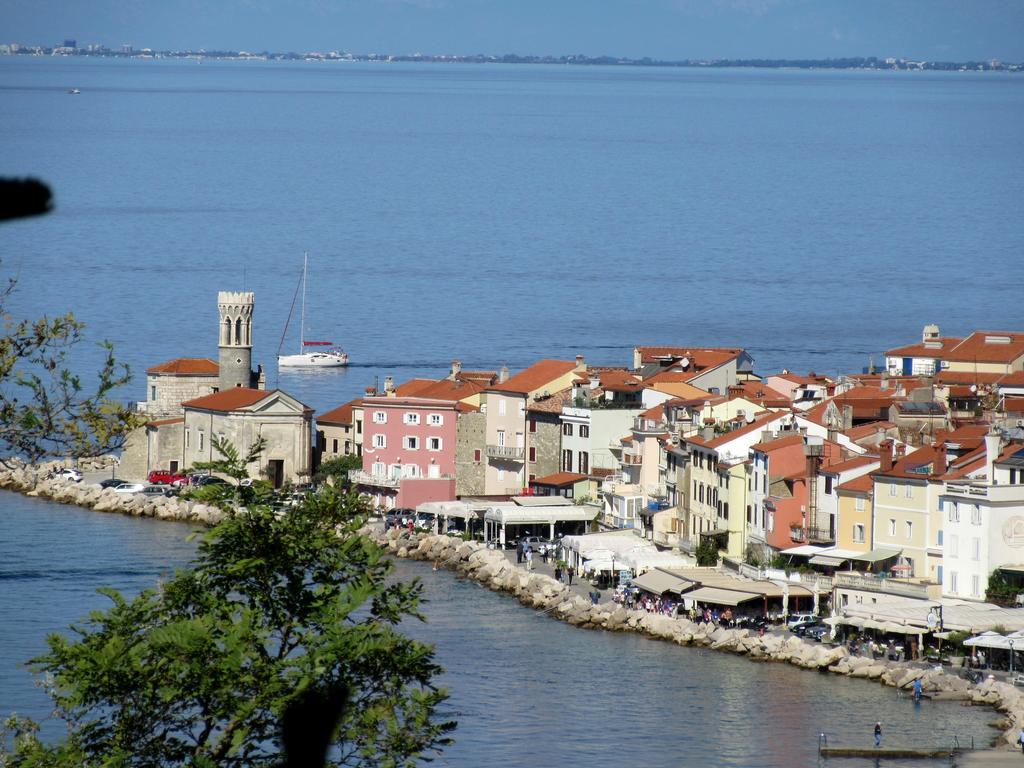 Terra Pirano