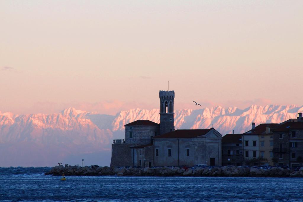 Appartamento Terra *